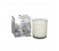 Boxed Jar Candle - Winter Jasmine - De rustgevende en bekende geur van verse jasmijn - Brandtijd: +/- 45 uur Formaat: 72x81 mm -