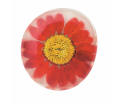 Flower Power Magneet - Rood met geel hart - doorsnee 3,5cm