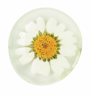 Flower Power Magneet - Wit met geel hart - doorsnee 3,5cm