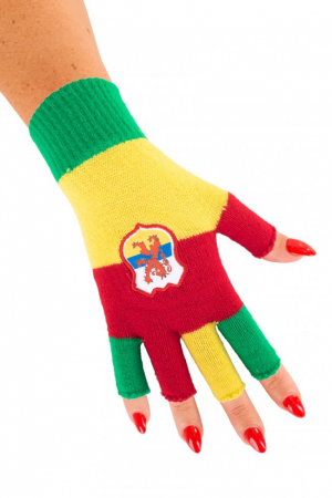 Vingerloze handschoenen rood/geel/groen met wapen Limburg