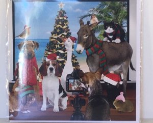 Kerstkaart - Animals - Text inside: Merry Christmas an a Happy New Year