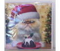 Kerstkaart - Christmas Cat - Text inside: Merry Christmas and a Happy New Year
