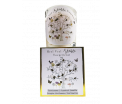 Giftbox - Sterkte - tekst glas: Heel veel sterkte toegewenst - Jar Candle - Vanilla - Een heerlijke zachte vanille geur - Brandtijd: +/- 45 uur Formaat kaars : 72x80 mm - Formaat box: 80x90mm