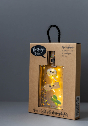 Message Lights - Beterschap/ Get well soon - Leuk (pet) flesje met 6 ledlampjes, 3 vilten figuurtjes en gouden sterretjes - in leuke verpakking - kan als brievenbuspost verstuurd worden -