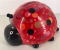 Pim - Moneybank Ladybird - Red with Lollypops