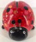 Pim - Moneybank Ladybird - Red with Lollypops