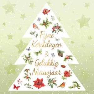 Janneke Brinkman Salentijn - Kerst - Fijne Kerstdagen & Gelukkig Nieuwjaar - tekst binnenkant: blanco - 140x140mm