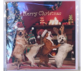 Kerstkaart - Christmas Dogs - Text inside: Merry Christmas and a Happy New Year