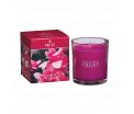 Boxed Jar Candle - Magnolia - Toetsen van de zoete magnoliabloem in perfecte harmonie met een zacht vleugje roos en jasmijn. - Brandtijd: +/- 45 uur Formaat: 72 × 81 mm -