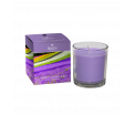 Boxed Jar Candle - Lavender & Lemongras - Zoete, rustgevende tonen van lavendel gecombineerd met de heerlijke, stimulerende citrusgeur van citroengras - Brandtijd: +/- 45 uur Formaat: 72x81 mm -