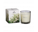 Boxed Jar Candle - Lily of the Valley - Geniet van de heerlijke en verfrissende bloemengeur van deze prachtige lentestruik. - Brandtijd: +/- 45 uur Formaat: 72x81 mm -
