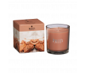 Boxed Jar Candle - Sandalwood - Een klassiek oosters aroma met houtachtige tonen en rijke topnoten - Brandtijd: +/- 45 uur Formaat: 72x81 mm -