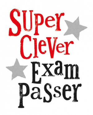 The Bright Side - Super clever exam passer - 17x14cm - Inclusief envelop